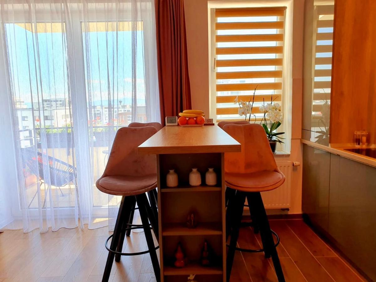 Executive Apartment Avantgarden Coresi 브라쇼브 외부 사진