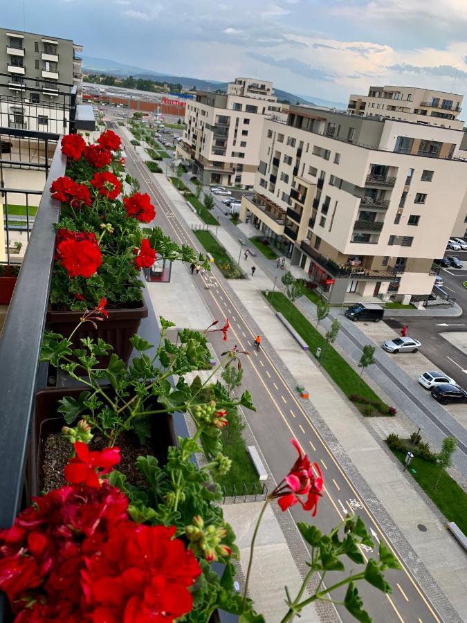 Executive Apartment Avantgarden Coresi 브라쇼브 외부 사진