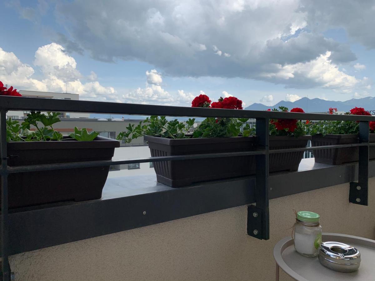 Executive Apartment Avantgarden Coresi 브라쇼브 외부 사진