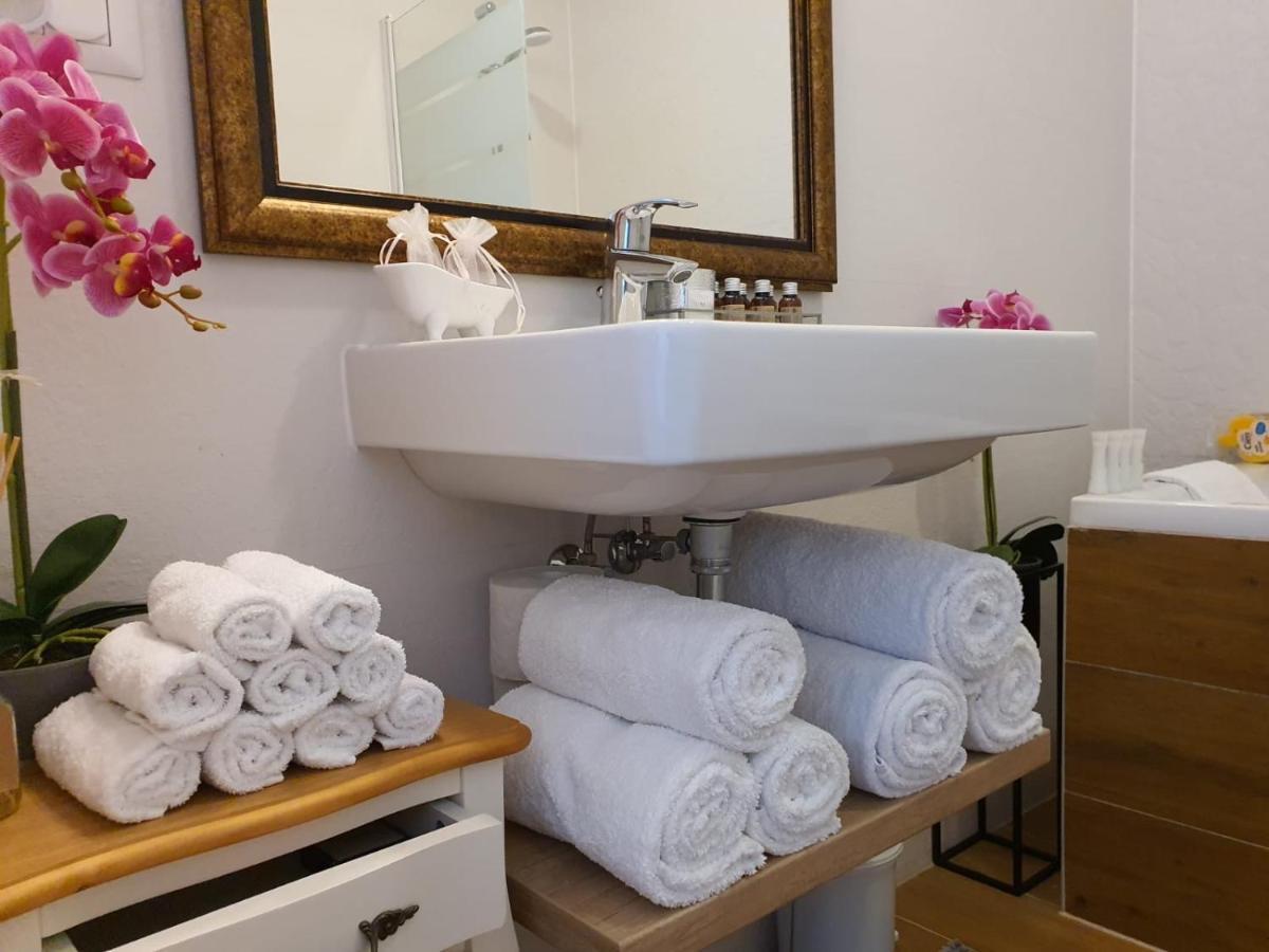 Executive Apartment Avantgarden Coresi 브라쇼브 외부 사진