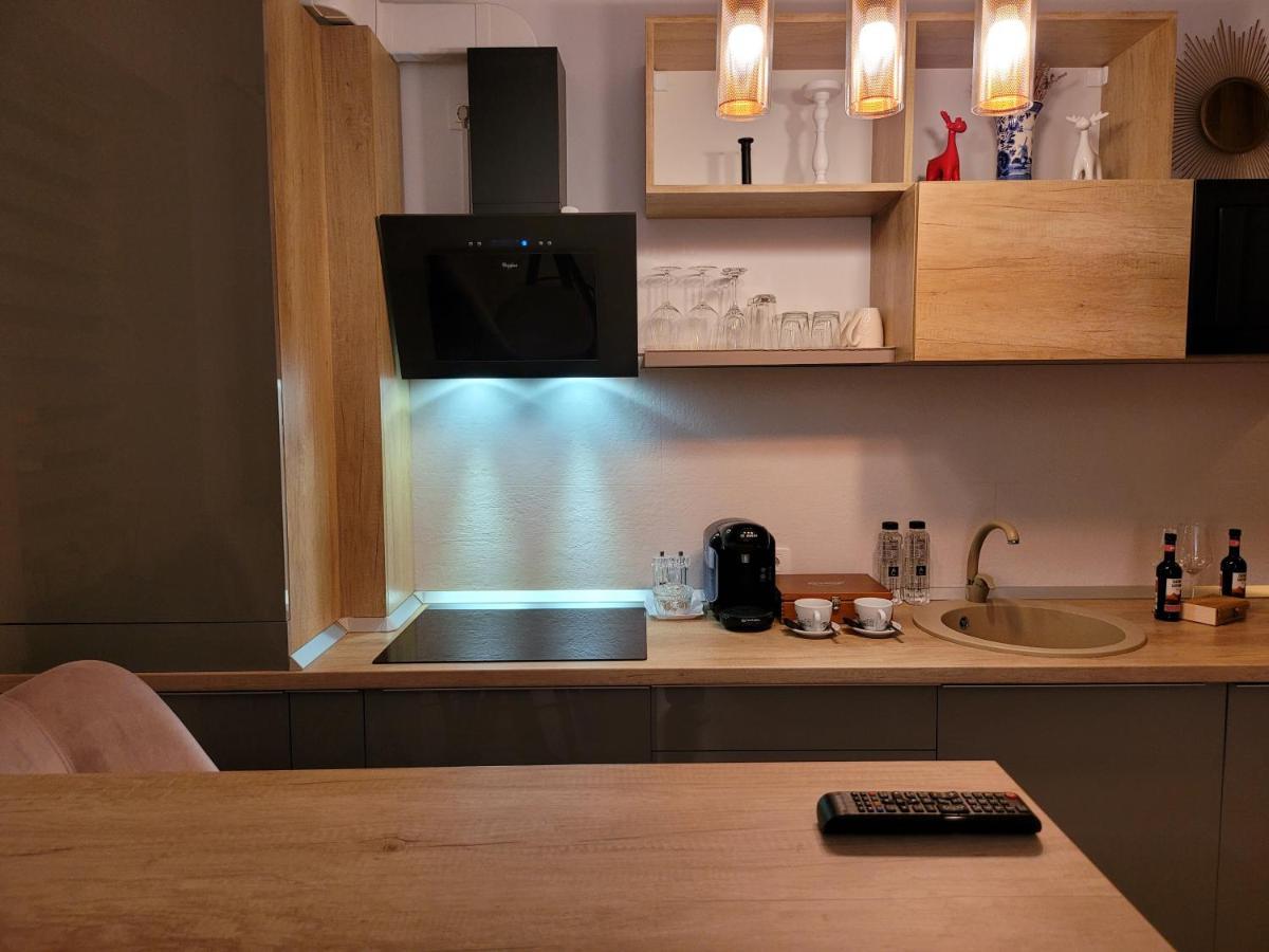 Executive Apartment Avantgarden Coresi 브라쇼브 외부 사진
