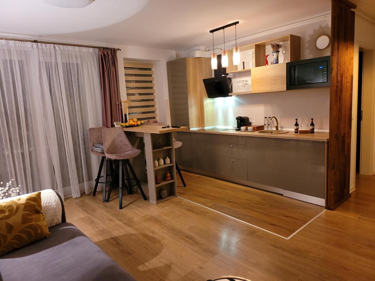 Executive Apartment Avantgarden Coresi 브라쇼브 외부 사진